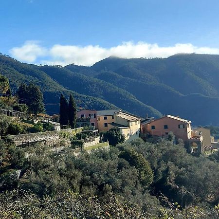 La Jeannotte Villa Levanto Kültér fotó